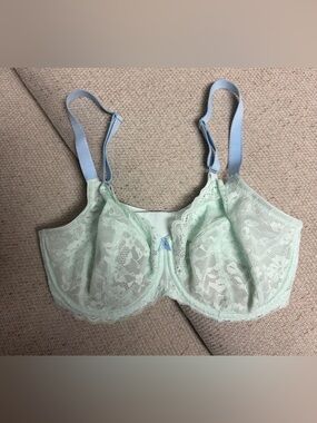 Freya Mint Lace Bra 36G Blue Trim Full Coverage